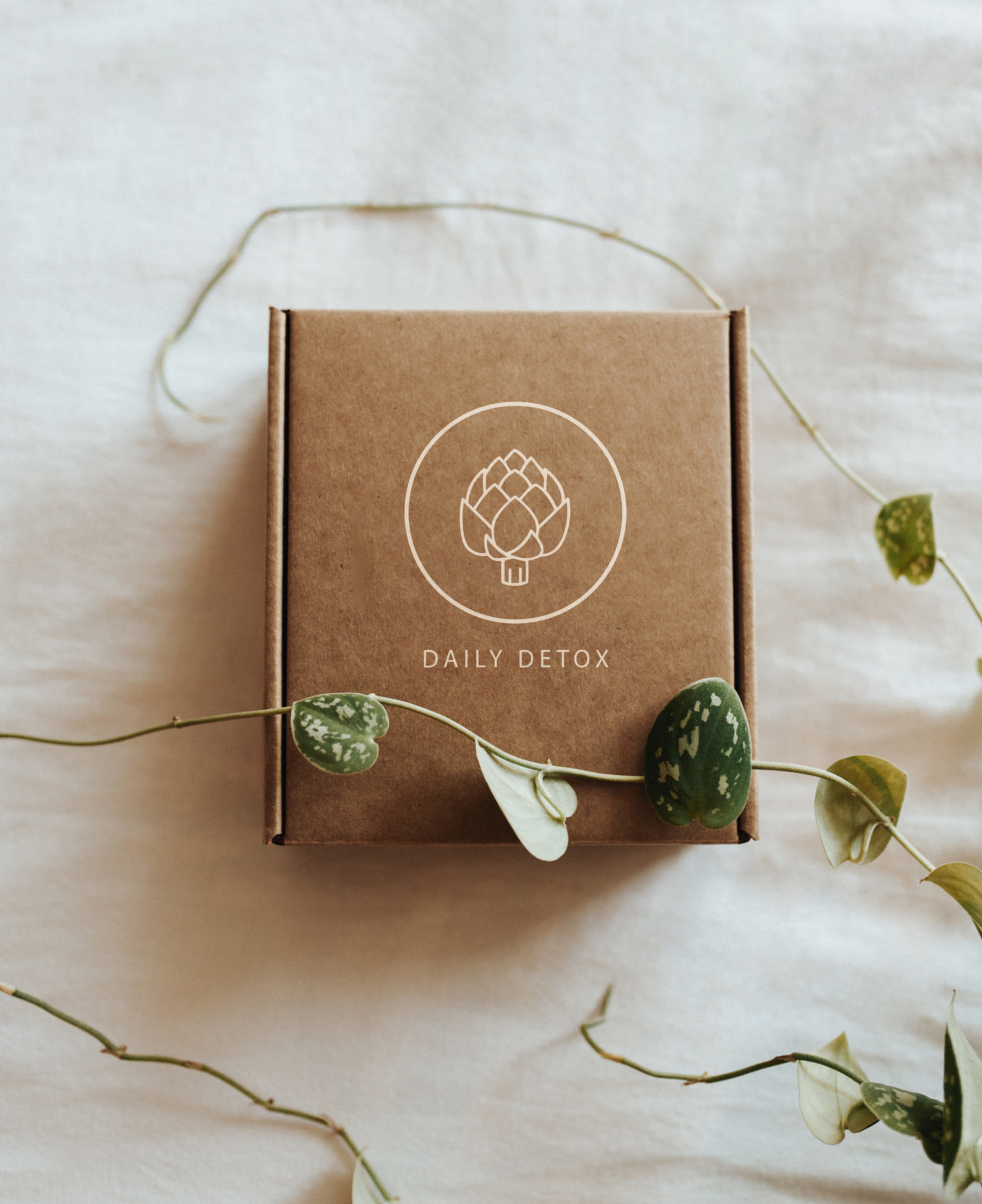 daily-nouri-E5Oo4nENq2M-unsplash_neu